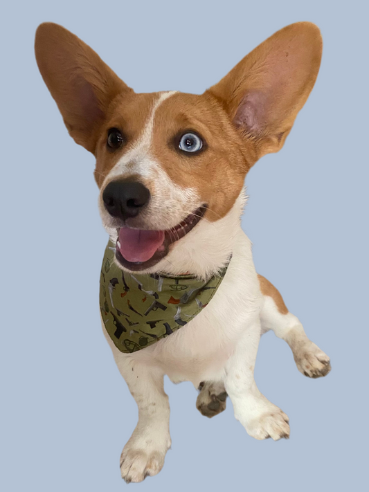 Reversible Dog Bandanas